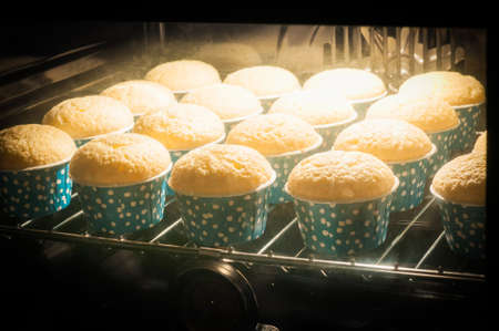 Cupcakes in ovenの写真素材
