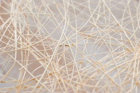 Wood backgroundの写真素材