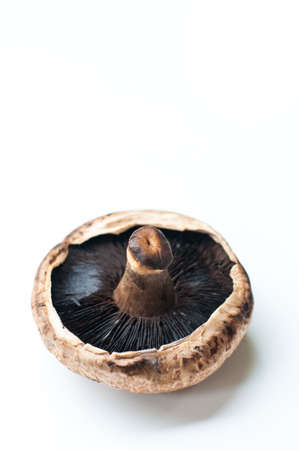 Portobello mushroom isolated on the white background.の写真素材