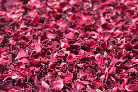 Dried rose petals backgroundの写真素材
