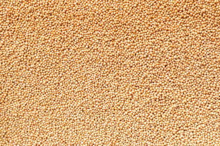 mustard seeds backgroundの写真素材