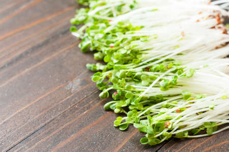 Kaiware sprout, japanese vegetable or watercress on wooden backgroundの写真素材