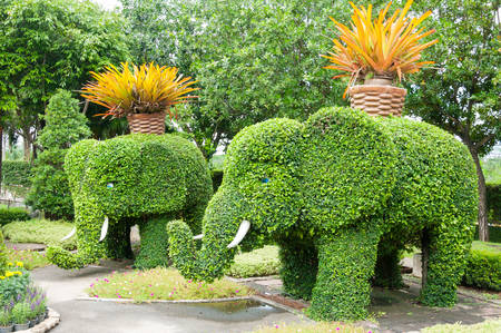 green garden and trees in elephant shapeの写真素材
