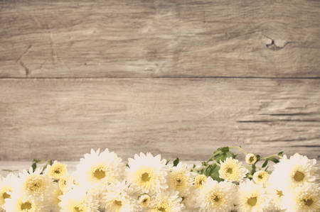 Yellow-white Chrysanthemum on wooden backgroundの写真素材