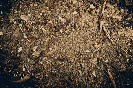 Dried leaves on soil, grunge background