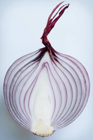 India shallot on grey backgroundの写真素材