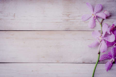 purple orchid flower  on wooden backgroundの写真素材