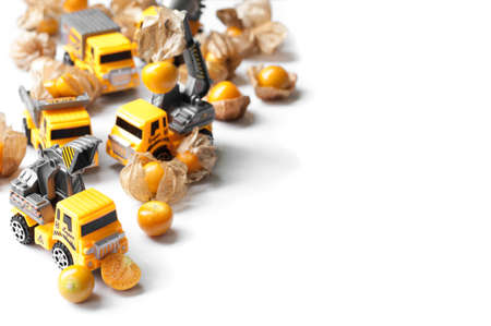 Gooseberry with truck toy