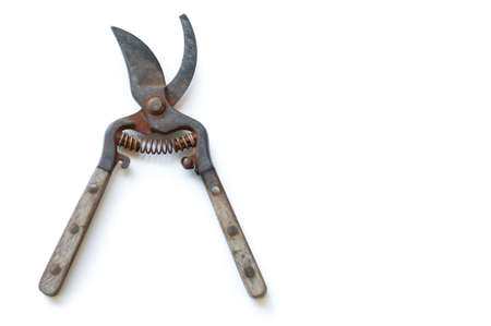 Old pruning shears for cutting branch the tree isolated on white background.の写真素材