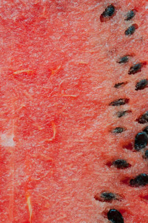 Watermelon with seed texture backgroundの写真素材