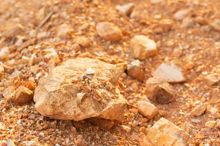 Rock Background texture