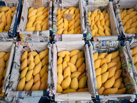 Mangoes for sale in Thailandの写真素材