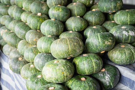 Japanese pumpkin for sell in marketの写真素材