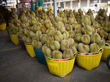 Durian, famous fruit in Thailandの写真素材