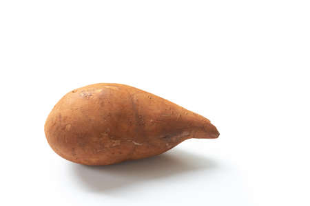 Fresh yacon root isolated on white backgroundの写真素材