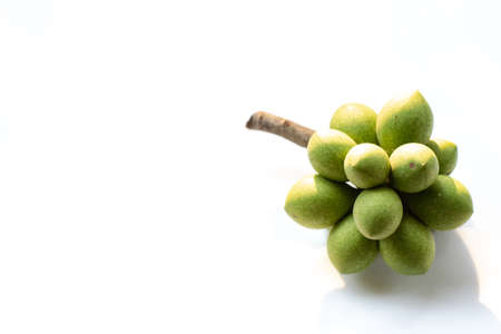 ylang-ylang's fruit