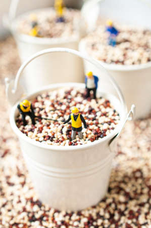 Tri color quinoa on steel bucket with miniature workersの写真素材