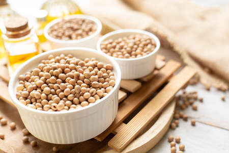 Soy been in white ceramic bowlの写真素材