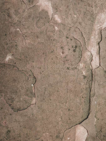 Grunge stone floor texture backgroundの写真素材