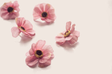 Pink artificial flowers on grey backgroundの写真素材