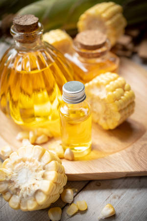 Corn oil in bottles with ears of cornの写真素材