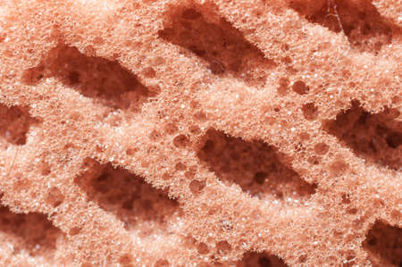 Sponge textureの写真素材