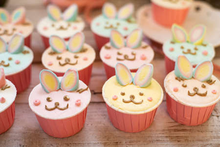 Easter bunny cupcakes in a rowの写真素材