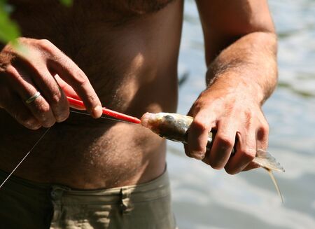 taking fish off hook,の写真素材