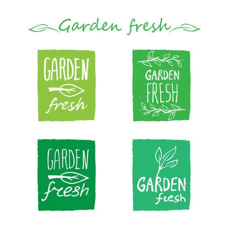 Garden fresh hand drawn logos. White on tones of green colour rectangle background with rough edges.のイラスト素材