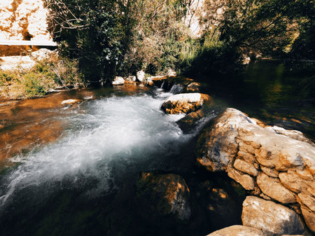 A beautiful shot of a river flowing through the woods in the mountainsの写真素材