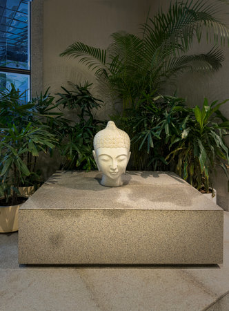 A white marble Buddha statue on a concrete cement surface decorated with green plants. In a modern simplistic corporate, apartment environment, a buddha head statue is displayed onの写真素材