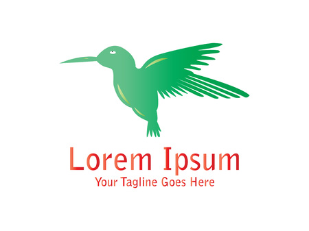 Abstract And Unique Hummingbird vector design template. An exotic bird on white backgroundÂ のイラスト素材