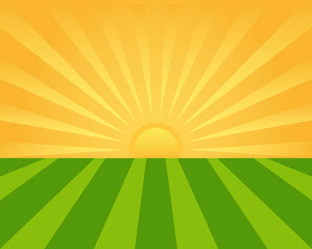 Sunrise on the green field - vector illustrationのイラスト素材