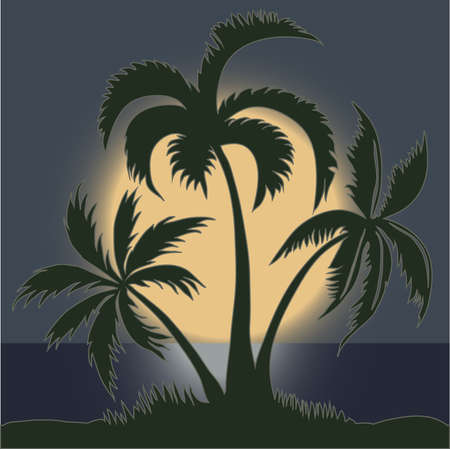 Palm trees in the Moonlight on the Beach - vectorのイラスト素材