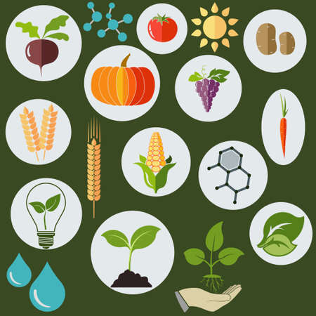 Agronomic Agricultural icons flat style, Science biology research chemical formulas, plants, sun and water drops - vectorsのイラスト素材