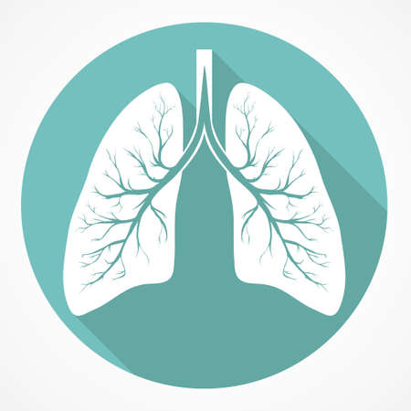 Human Lung anatomy flat icon with long shadow. Vectorのイラスト素材