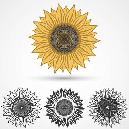 sunflower icon, yellow and black colors set, vector illustrationのイラスト素材