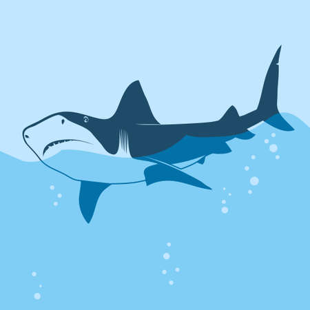 Great white shark in the sea water, blue silhouette. Big predator fish on ocean waves. Vector illustrationのイラスト素材