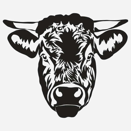 Bull head on white background, butcher Farm Animal. Meat farming emblem. Vectorのイラスト素材