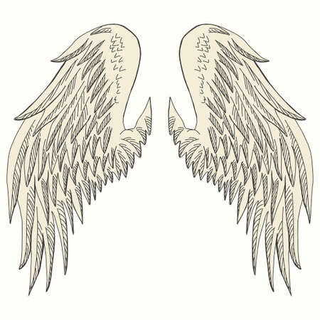 Wings of birdのイラスト素材