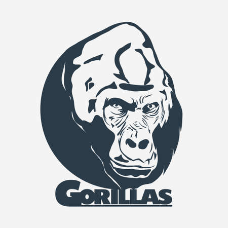 Gorilla head logo designのイラスト素材