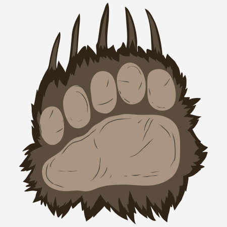 Bear footprint, grizzly paw print. vectorのイラスト素材