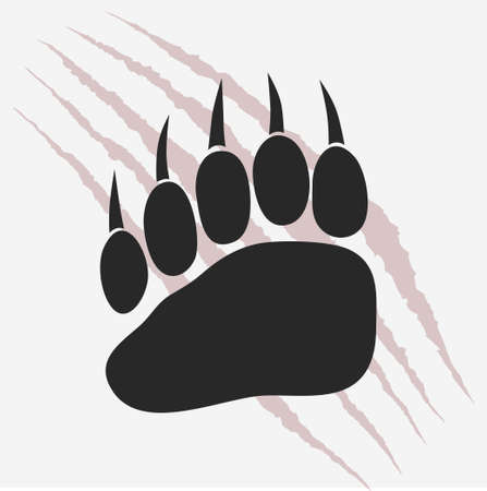 Bear footprint with claw scratches vectorのイラスト素材