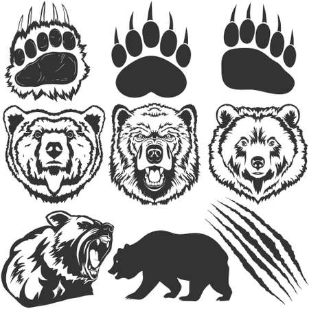 Bear, footprint with claw scratches vectorのイラスト素材