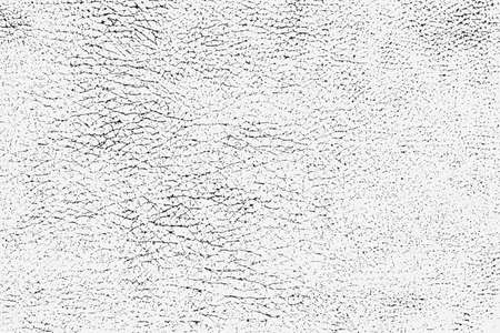 Natural Skin Detailed patternのイラスト素材