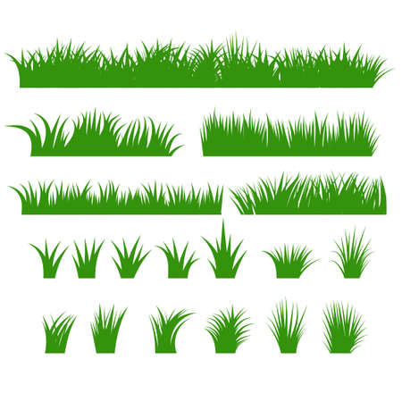 Grass Borders Set, Green Tufts plants Horizontal row, Bush of various shapes. Natural, organic, bio, eco design elemehns. Vector Illustrationの写真素材