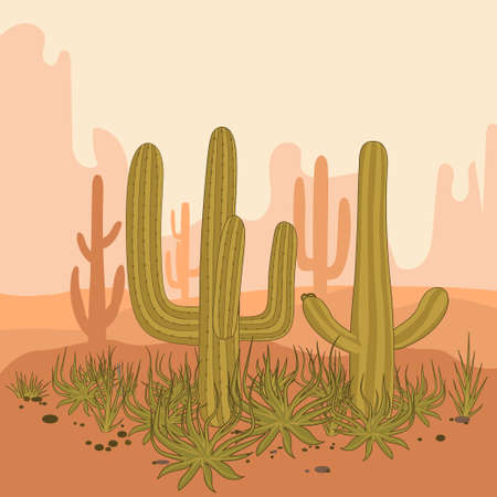 Desert landscape cactus and mountains, sunset in cannon, background scene with stones and sand vector.のイラスト素材