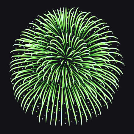 Firework on night background, anniversary bursting fireworksの写真素材