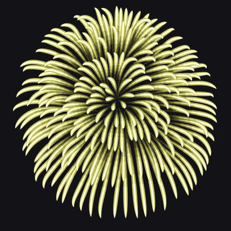 Firework on night background, anniversary bursting yellow fireworks with sparks. New Year Shining elements. Birthday celebration. Vectorのイラスト素材