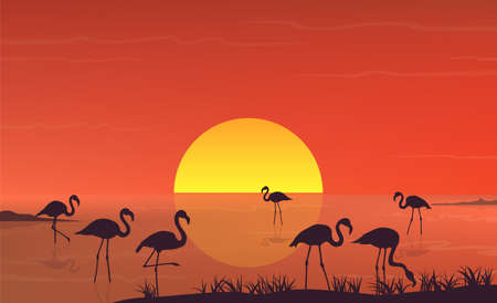 Flamingo silhouette at sunset landscape on lake scene.のイラスト素材
